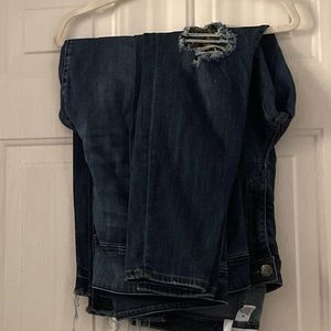 Lane Bryant Skinny Jeans